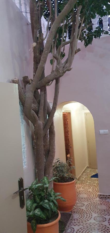 Surf Riad Taghazout Εξωτερικό φωτογραφία