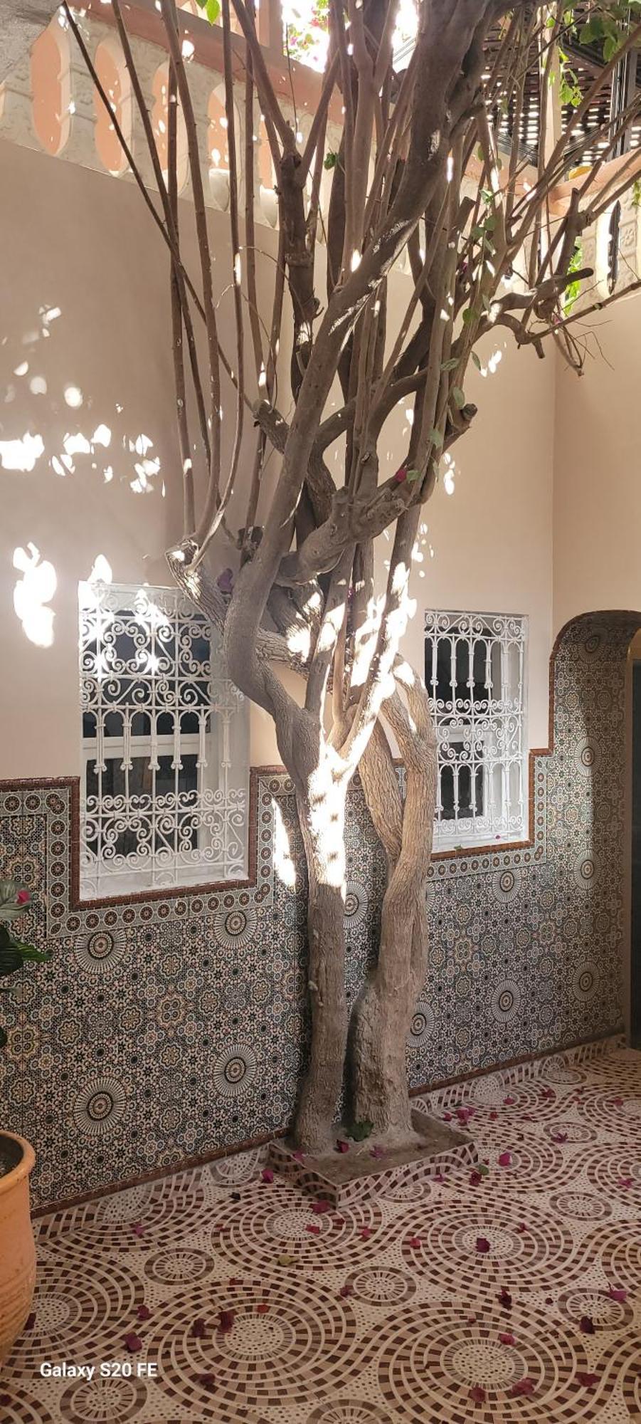 Surf Riad Taghazout Εξωτερικό φωτογραφία